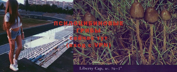 прущий лед Горняк