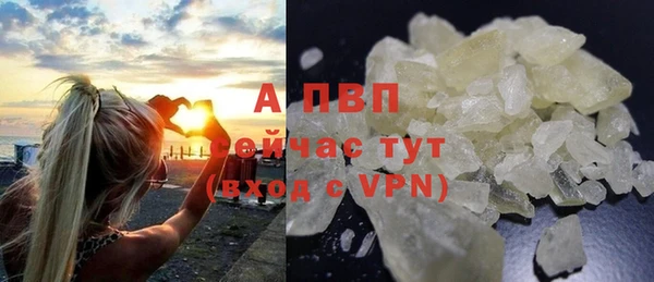 спайс Гусев