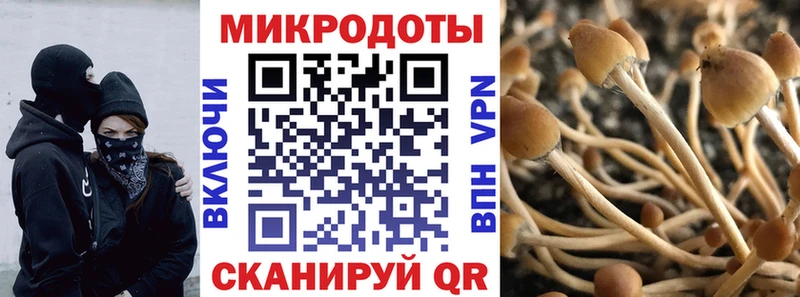 Купить  Красноуфимск  Галлюциногенные грибы ЛСД 